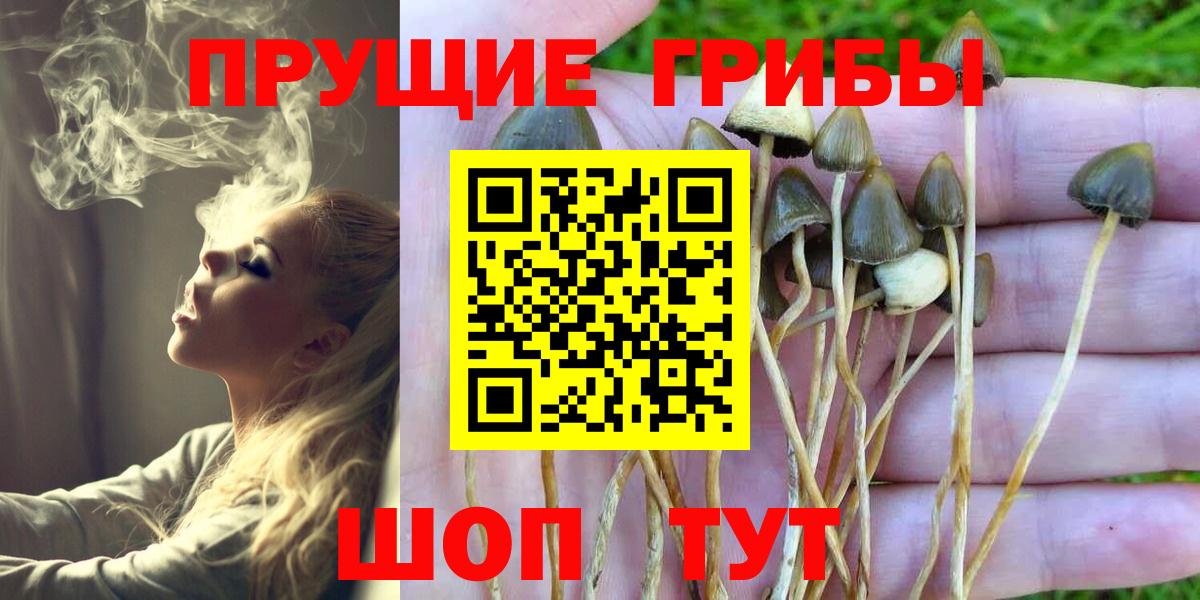 Галлюциногенные грибы мицелий  Вход с VPN  Губкинский 