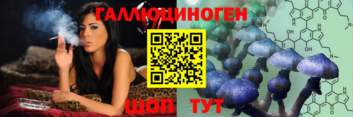 Галлюциногенные грибы прущие грибы Губкинский